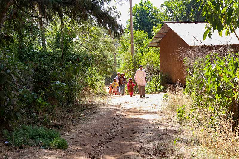 Three children and three adults walking along a road past a house. the road is lined with trees and bushes