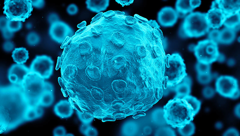 Cliché d’imagerie montrant plusieurs virus de l’herpès simplex, dont l’un en gros plan.
