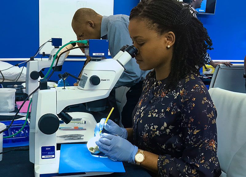 A female and a male surgical skills students workign at operating microscopes