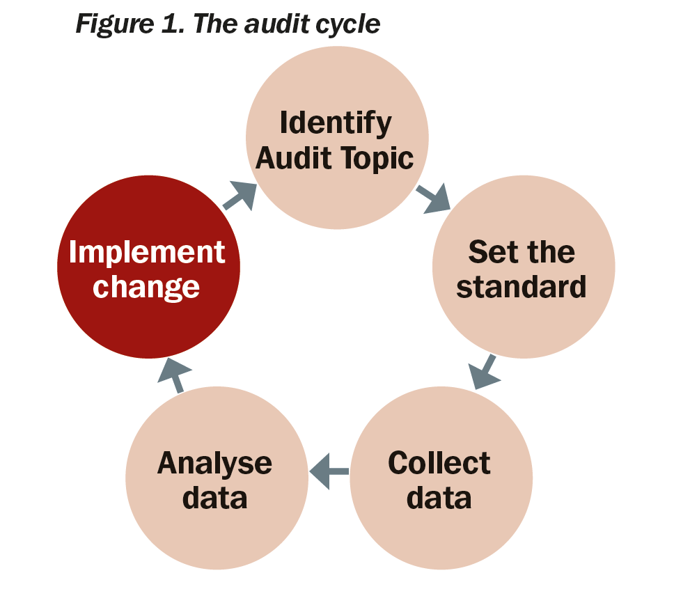 Receive value. Process Cycle of Auditing. Internal Audit Cycle. What is Audit. Audit xulosa.